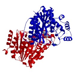 Image of CATH 5efn