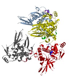Image of CATH 5eft