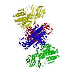 Image of CATH 5ege