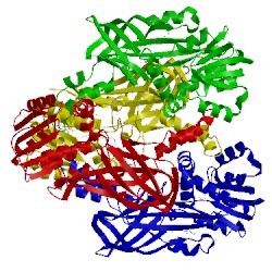 Image of CATH 5egs