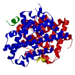 Image of CATH 5egv