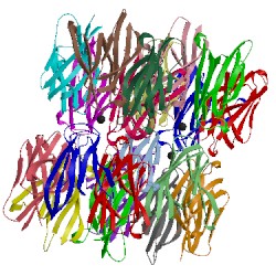 Image of CATH 5ehd