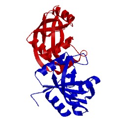 Image of CATH 5eip