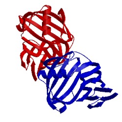 Image of CATH 5ej3
