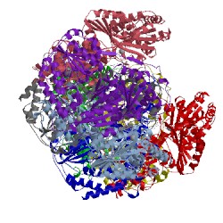 Image of CATH 5ej6
