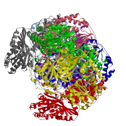 Image of CATH 5ej9