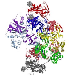 Image of CATH 5ejk