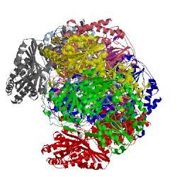 Image of CATH 5ejm