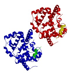 Image of CATH 5ejv