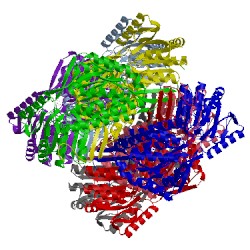 Image of CATH 5ek6