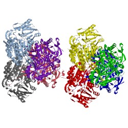 Image of CATH 5ekc