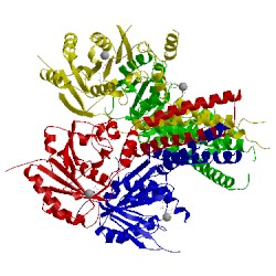 Image of CATH 5ekp