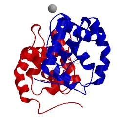 Image of CATH 5el2