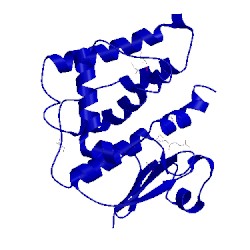 Image of CATH 5elg