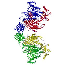 Image of CATH 5eln