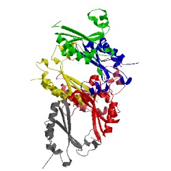 Image of CATH 5els