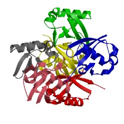 Image of CATH 5emz