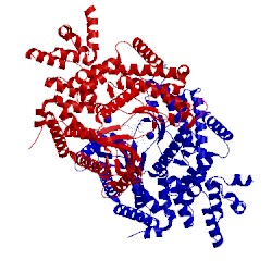 Image of CATH 5enn