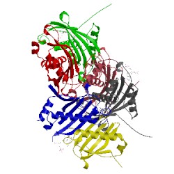 Image of CATH 5eo2