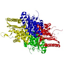 Image of CATH 5eph