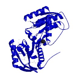 Image of CATH 5er3