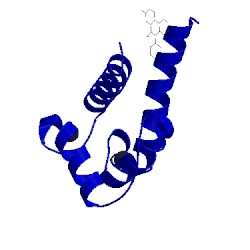 Image of CATH 5er5
