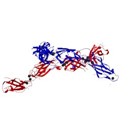 Image of CATH 5erp