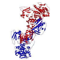 Image of CATH 5es5