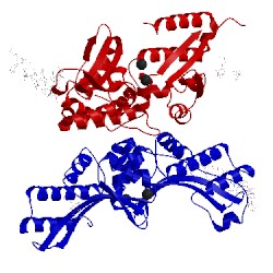 Image of CATH 5esp