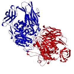 Image of CATH 5euv