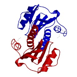 Image of CATH 5ev0