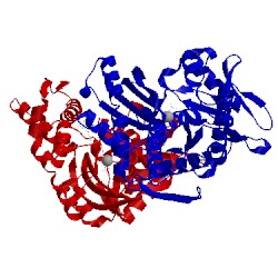 Image of CATH 5evz