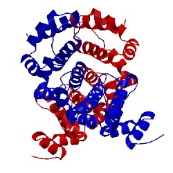 Image of CATH 5ewp