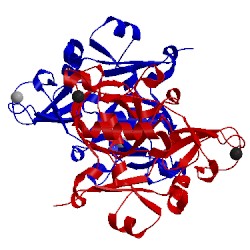 Image of CATH 5ex2