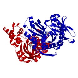 Image of CATH 5ex5