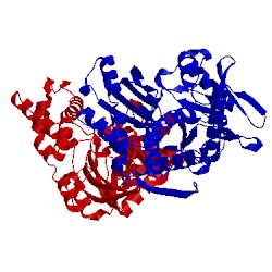 Image of CATH 5exw