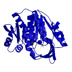 Image of CATH 5eyn