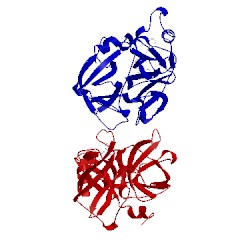 Image of CATH 5f03
