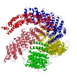 Image of CATH 5f0k