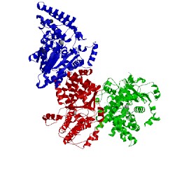Image of CATH 5f13