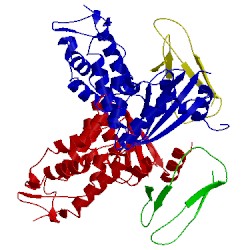 Image of CATH 5f1k