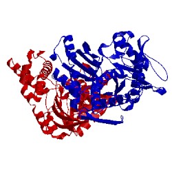 Image of CATH 5f1x