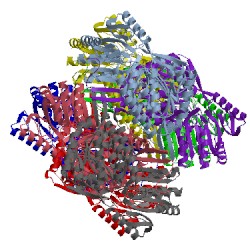 Image of CATH 5f2c