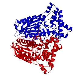 Image of CATH 5f2o