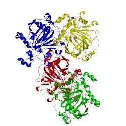 Image of CATH 5f2s