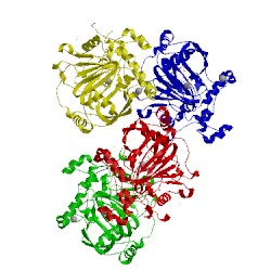 Image of CATH 5f2w