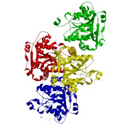 Image of CATH 5f34