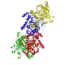 Image of CATH 5f3e