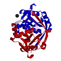 Image of CATH 5f46