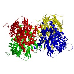 Image of CATH 5f4x